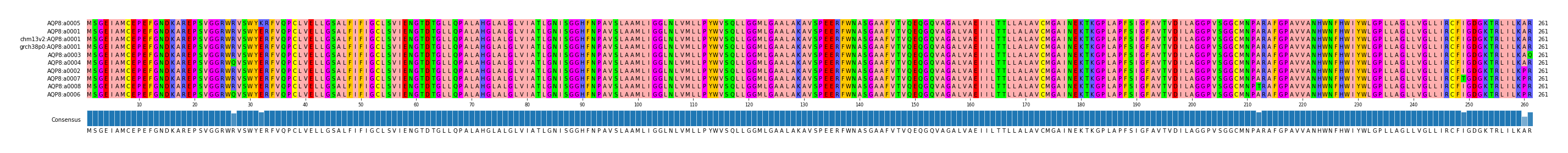 Multiple Alignments (by translate haplotype similarity)