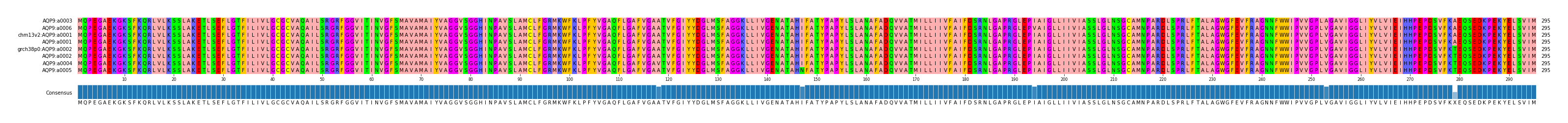 Multiple Alignments (by translate haplotype similarity)