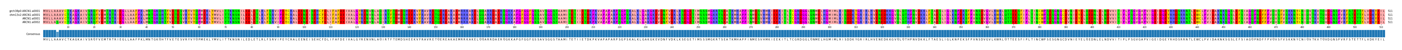 Multiple Alignments (by translate haplotype similarity)