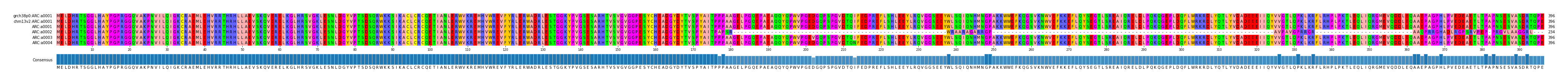 Multiple Alignments (by translate haplotype frequency)