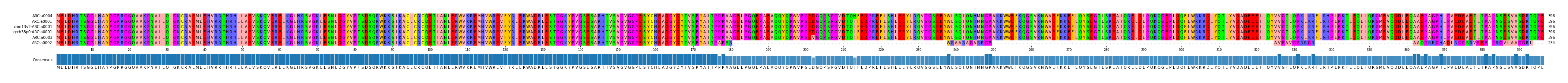 Multiple Alignments (by translate haplotype similarity)