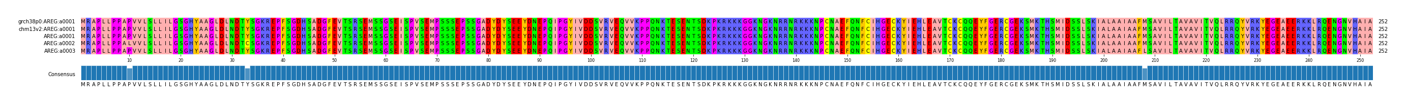 Multiple Alignments (by translate haplotype frequency)
