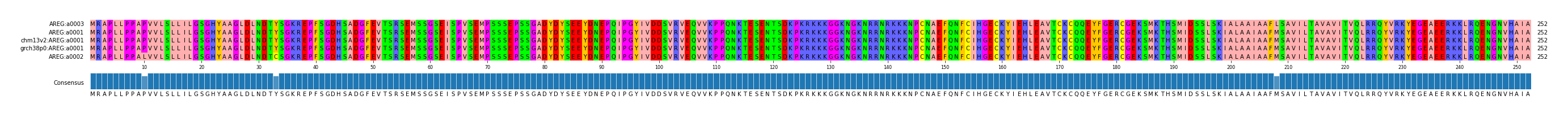 Multiple Alignments (by translate haplotype similarity)