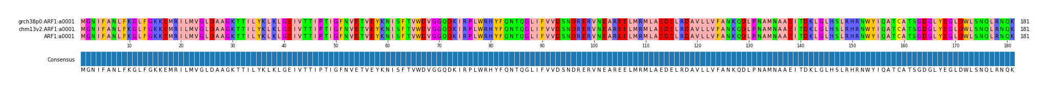 Multiple Alignments (by translate haplotype similarity)