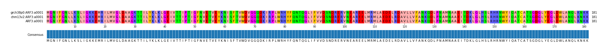 Multiple Alignments (by translate haplotype similarity)