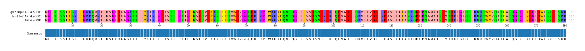 Multiple Alignments (by translate haplotype frequency)