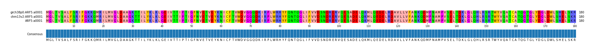 Multiple Alignments (by translate haplotype similarity)