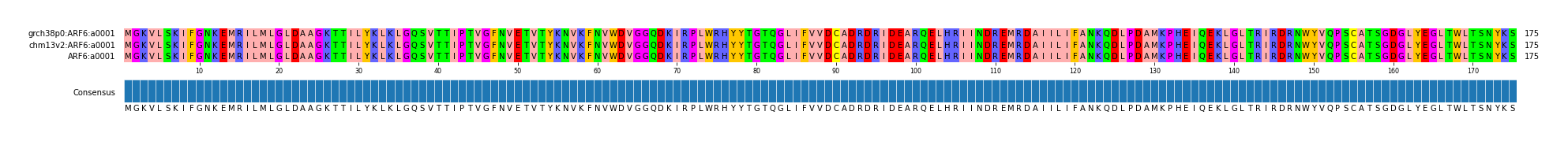 Multiple Alignments (by translate haplotype similarity)