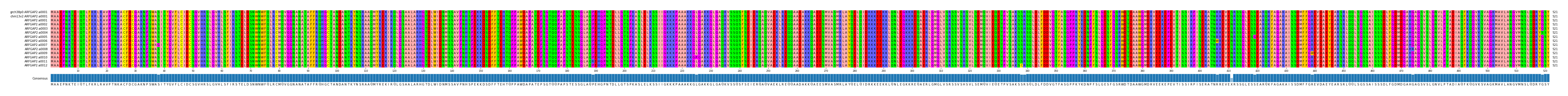 Multiple Alignments (by translate haplotype frequency)