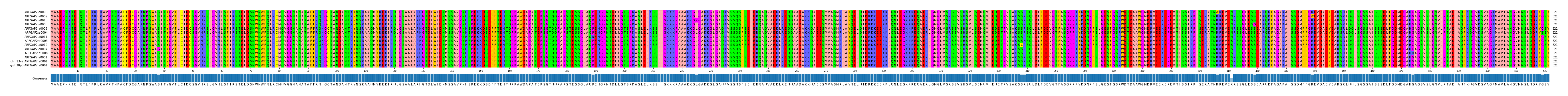 Multiple Alignments (by translate haplotype similarity)