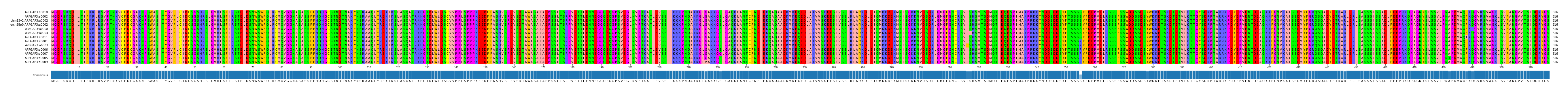 Multiple Alignments (by translate haplotype similarity)