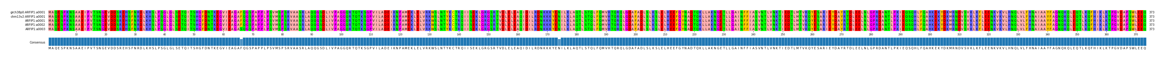 Multiple Alignments (by translate haplotype frequency)