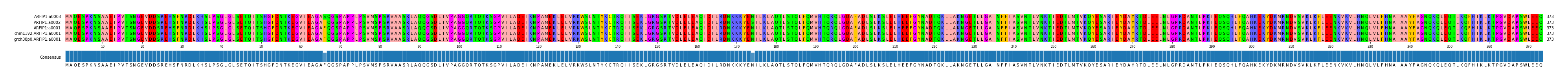 Multiple Alignments (by translate haplotype similarity)