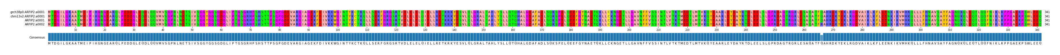 Multiple Alignments (by translate haplotype similarity)