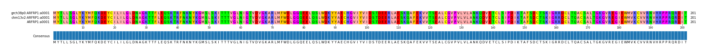 Multiple Alignments (by translate haplotype similarity)