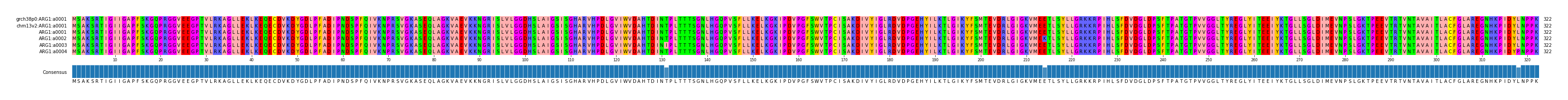 Multiple Alignments (by translate haplotype frequency)