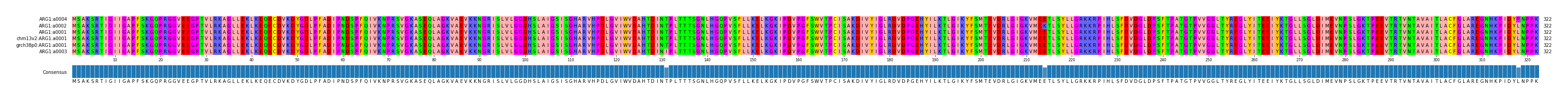 Multiple Alignments (by translate haplotype similarity)
