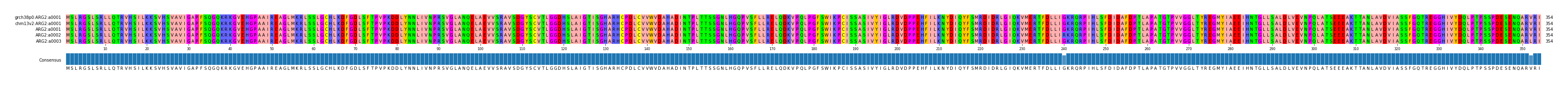 Multiple Alignments (by translate haplotype frequency)