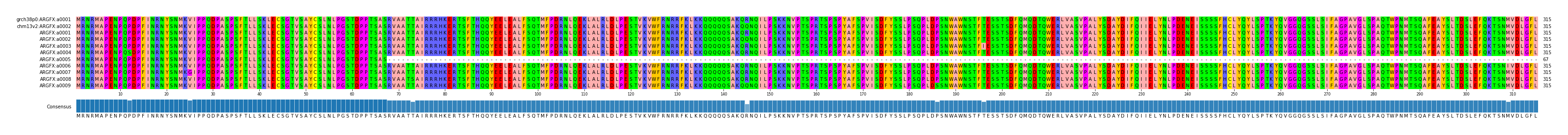 Multiple Alignments (by translate haplotype frequency)