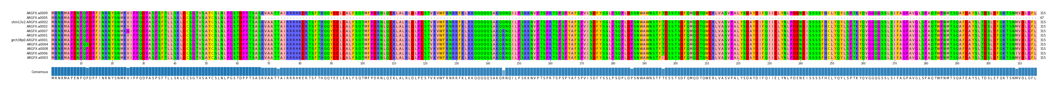 Multiple Alignments (by translate haplotype similarity)
