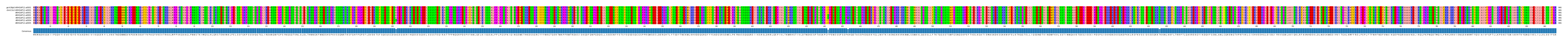 Multiple Alignments (by translate haplotype frequency)