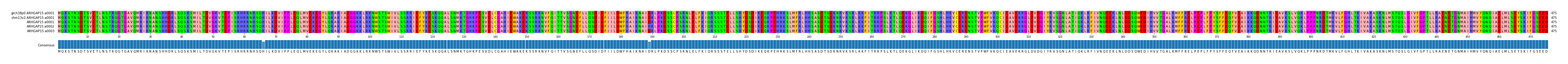 Multiple Alignments (by translate haplotype frequency)
