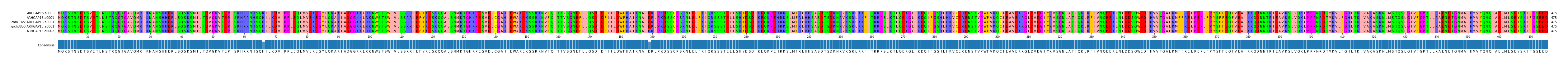 Multiple Alignments (by translate haplotype similarity)