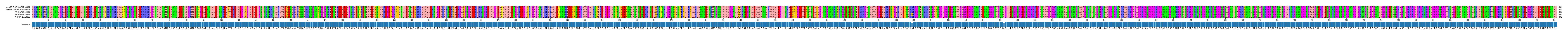 Multiple Alignments (by translate haplotype frequency)