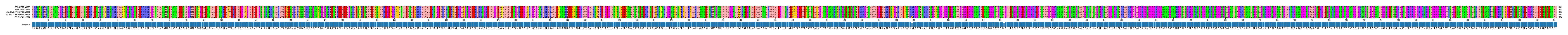 Multiple Alignments (by translate haplotype similarity)