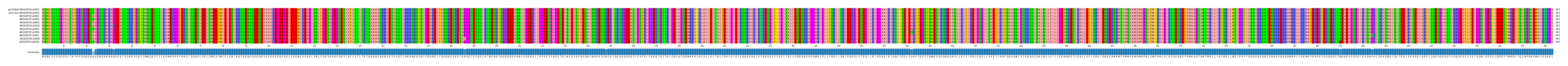 Multiple Alignments (by translate haplotype frequency)