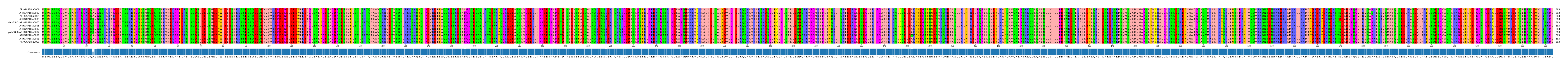 Multiple Alignments (by translate haplotype similarity)