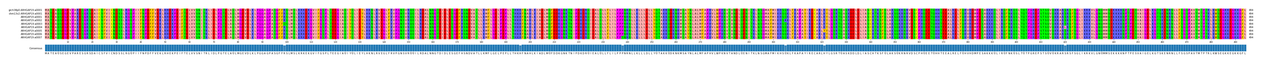 Multiple Alignments (by translate haplotype frequency)