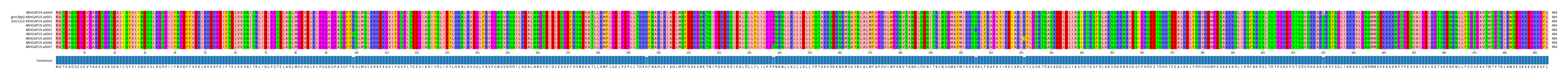 Multiple Alignments (by translate haplotype similarity)
