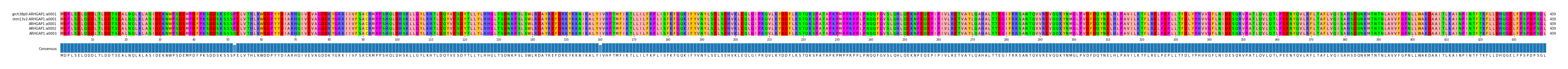 Multiple Alignments (by translate haplotype frequency)