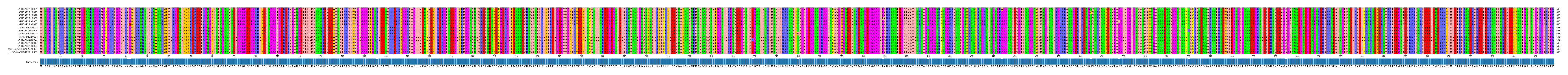 Multiple Alignments (by translate haplotype similarity)