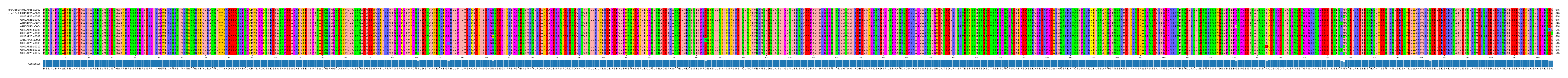 Multiple Alignments (by translate haplotype frequency)