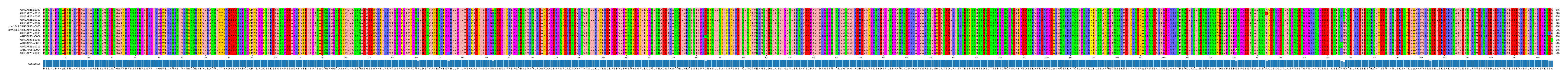 Multiple Alignments (by translate haplotype similarity)