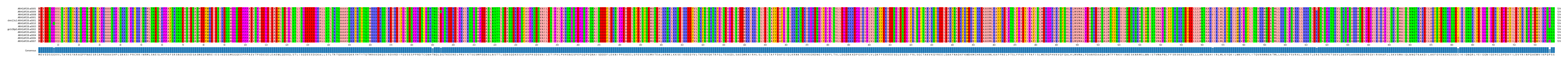 Multiple Alignments (by translate haplotype similarity)