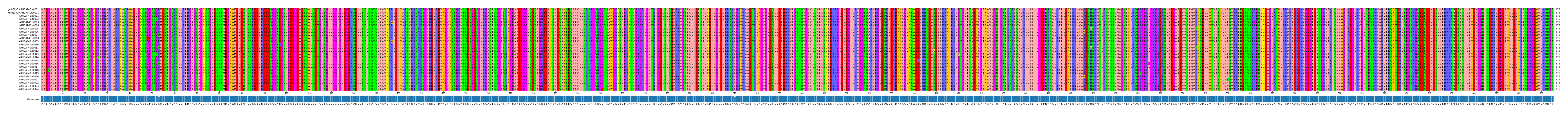 Multiple Alignments (by translate haplotype frequency)