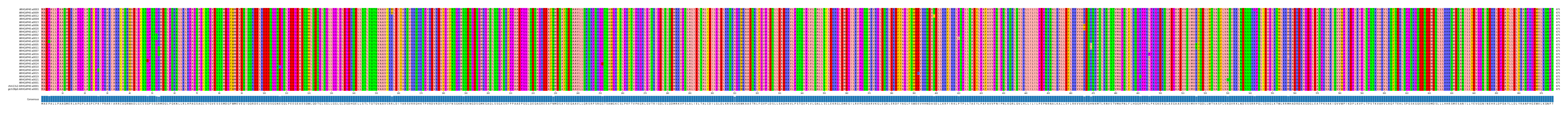 Multiple Alignments (by translate haplotype similarity)