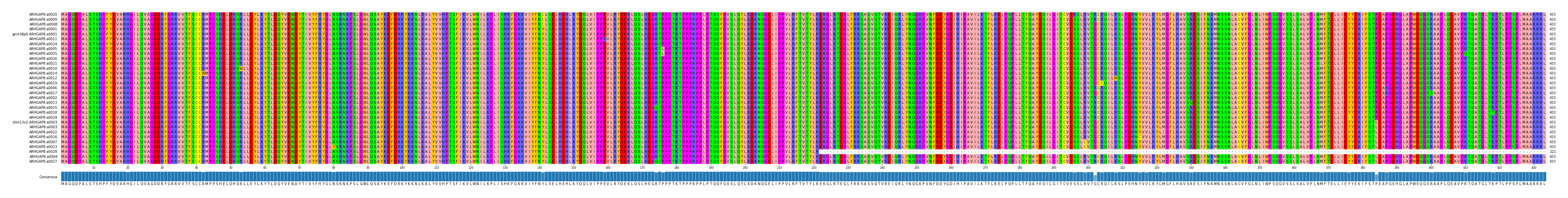 Multiple Alignments (by translate haplotype similarity)