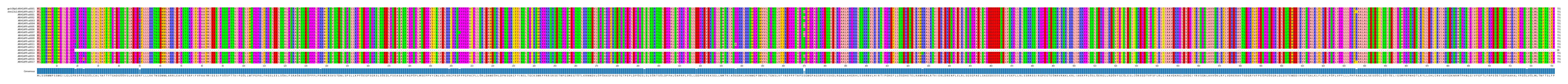 Multiple Alignments (by translate haplotype frequency)
