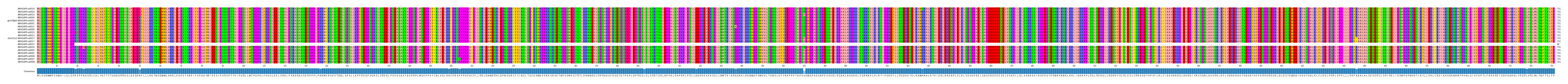Multiple Alignments (by translate haplotype similarity)