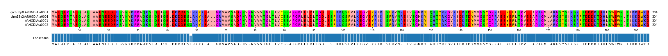 Multiple Alignments (by translate haplotype similarity)