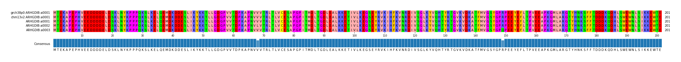 Multiple Alignments (by translate haplotype frequency)