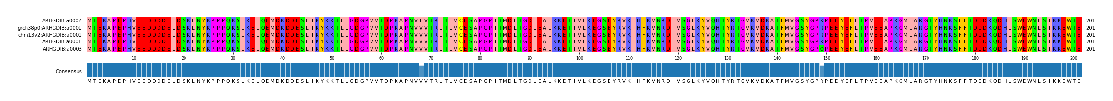 Multiple Alignments (by translate haplotype similarity)