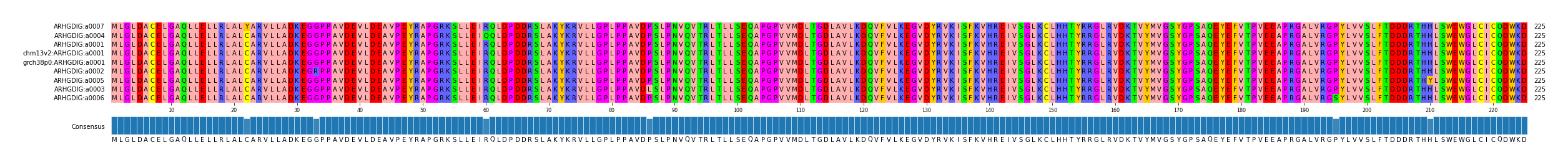 Multiple Alignments (by translate haplotype similarity)