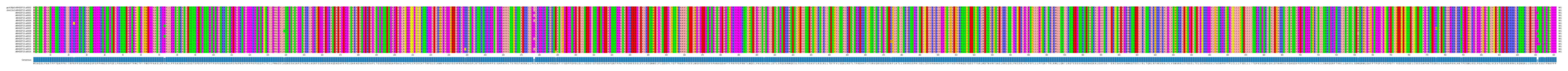 Multiple Alignments (by translate haplotype frequency)