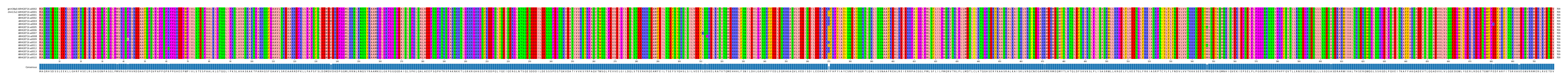 Multiple Alignments (by translate haplotype frequency)