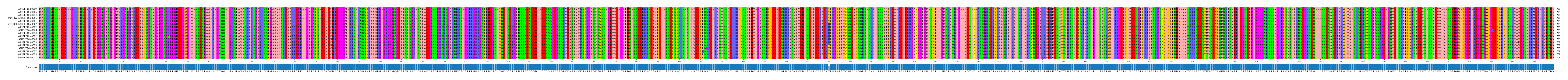 Multiple Alignments (by translate haplotype similarity)